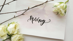 Spring Retail Maintenance Checklist | Commercial Property Management Tenant Tips